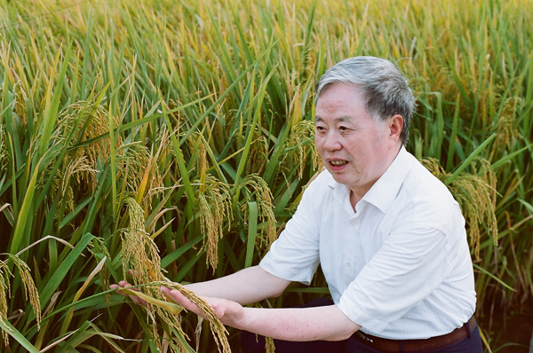 逐梦春天的"候鸟—追记"农田院士"朱英国