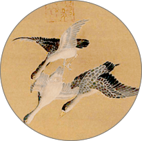 鸿雁