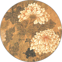 菊