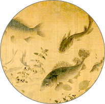 鱼