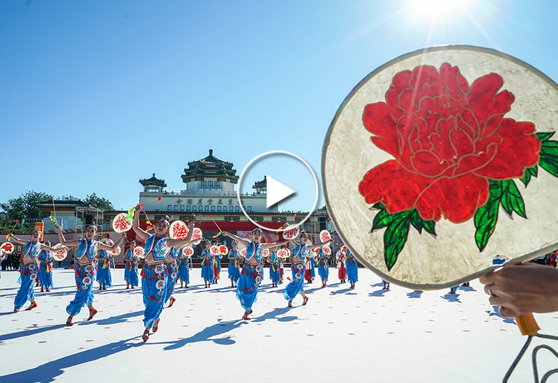 最年轻的节日最悠久的牵念 写给首个中国农民丰收节