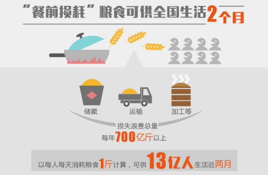 2020粮食浪费统计图图片