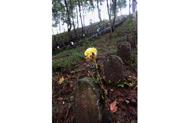 雲南騰衝國殤墓園裡,一座墓碑旁插著一朵菊花(2010年8月12日攝).